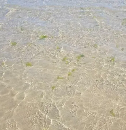 Fiorita * Miglianico